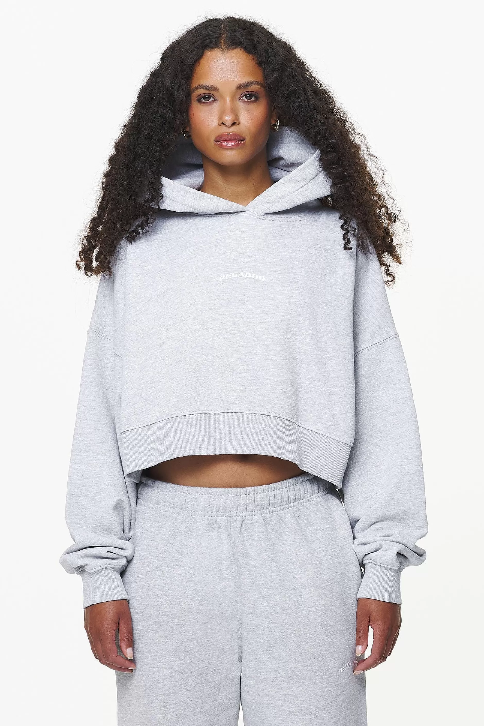 Chancery Oversized Cropped Hoodie Grey Melange-Pegador Online