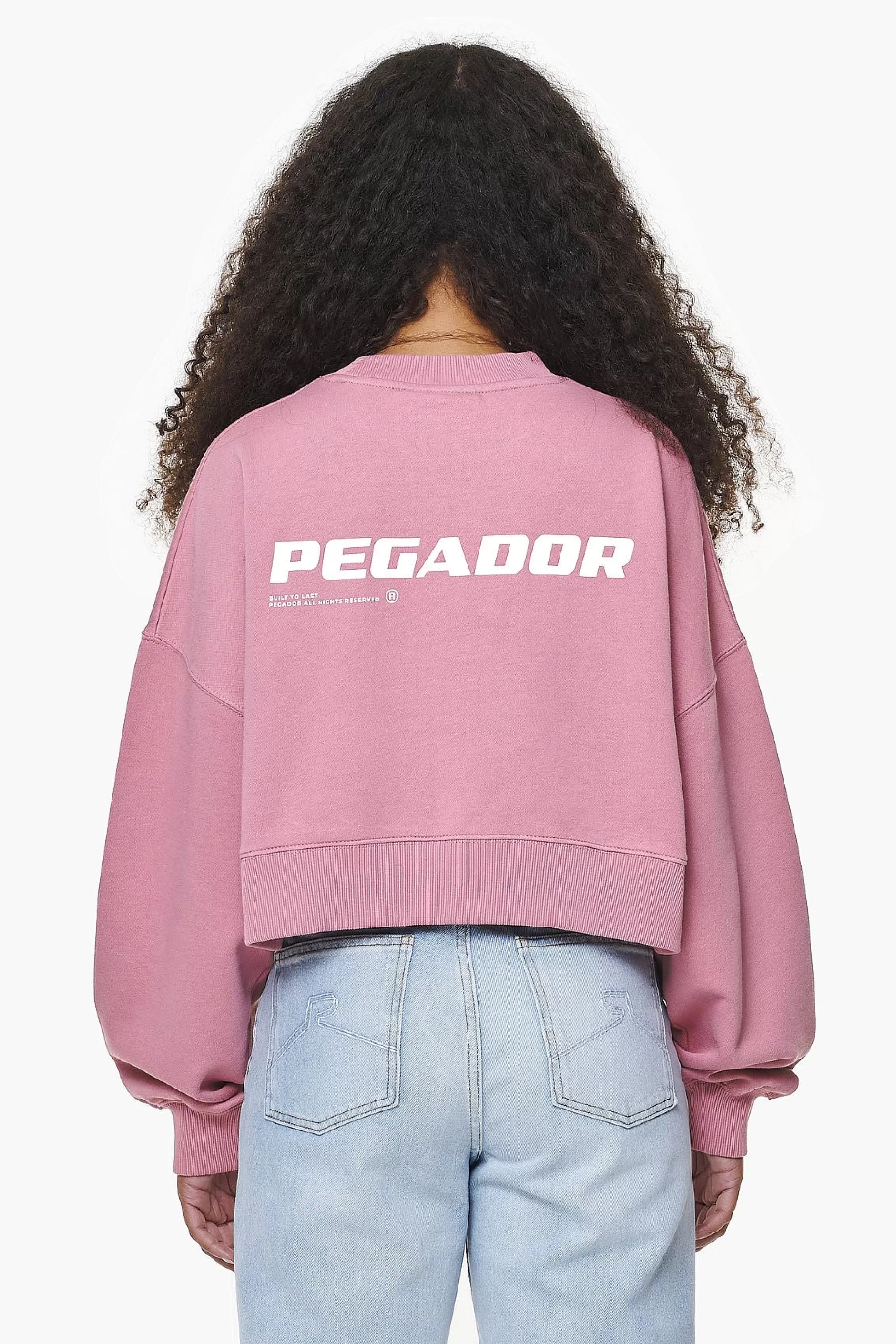 Dorothy Cropped Oversized Sweater Vintage Washed Rust Pink-Pegador Hot