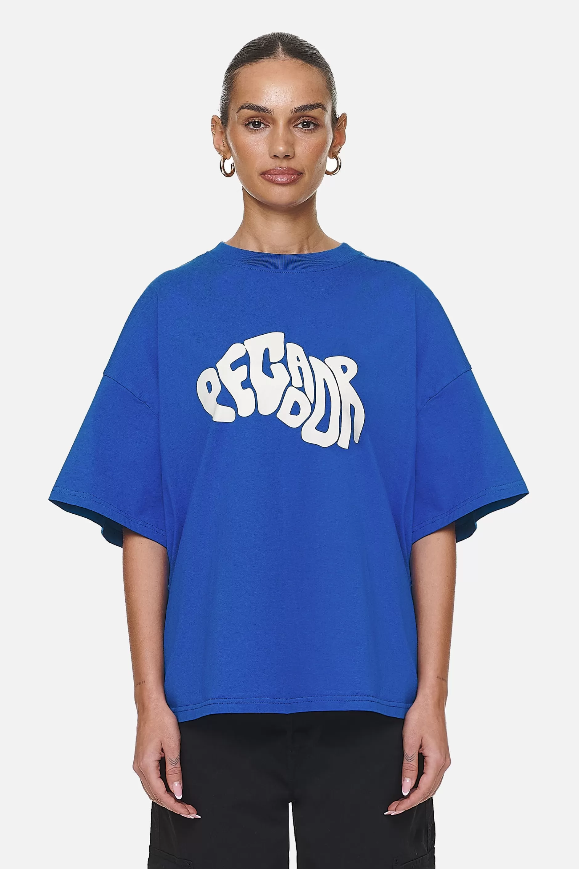 Paluma Heavy Oversized Tee -Pegador New