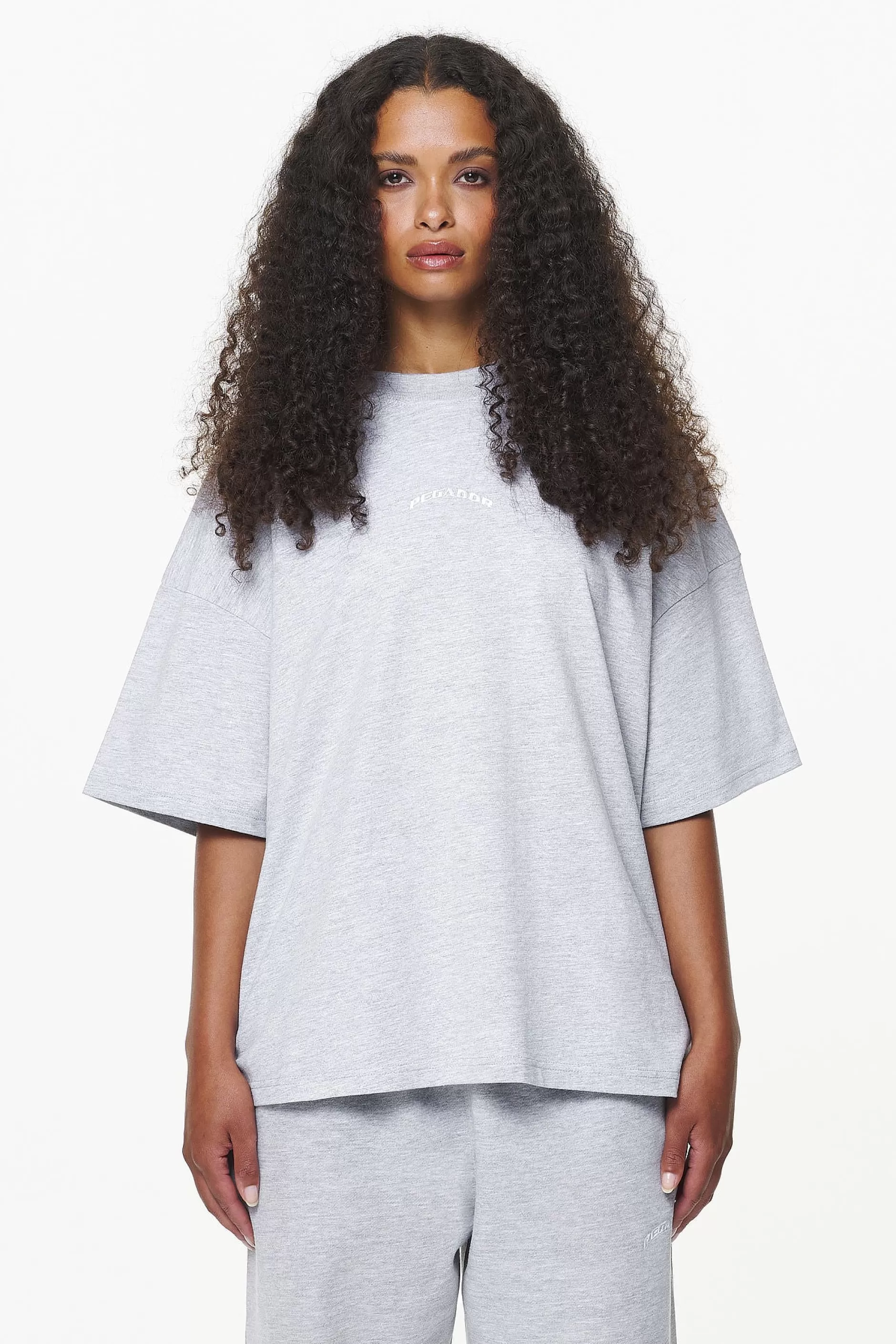 Thames Heavy Oversized Tee -Pegador Flash Sale